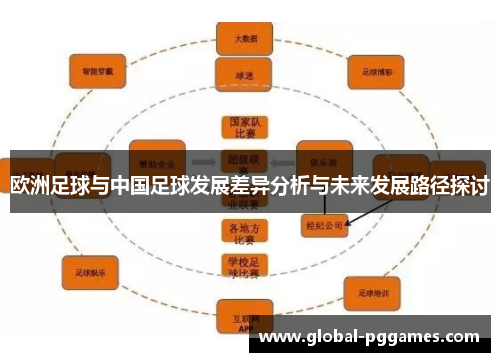 欧洲足球与中国足球发展差异分析与未来发展路径探讨