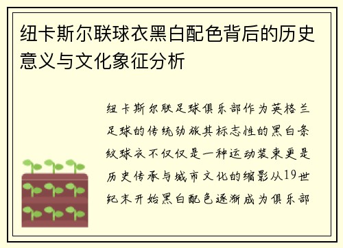 纽卡斯尔联球衣黑白配色背后的历史意义与文化象征分析